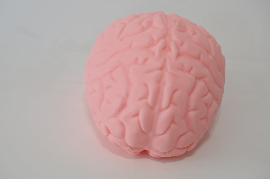 Large Brain Marshmallow Squishy