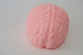 Large Brain Marshmallow Squishy
