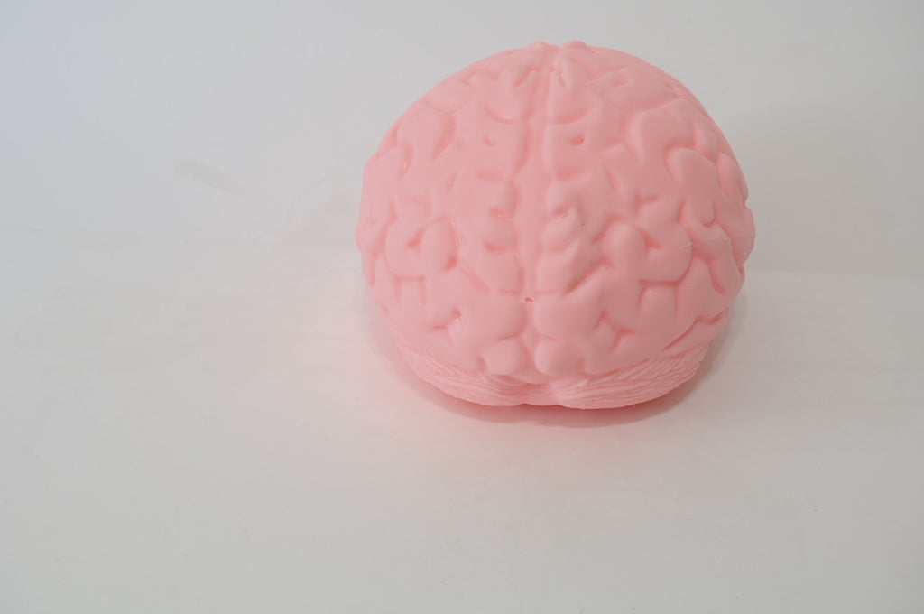 Large Brain Marshmallow Squishy