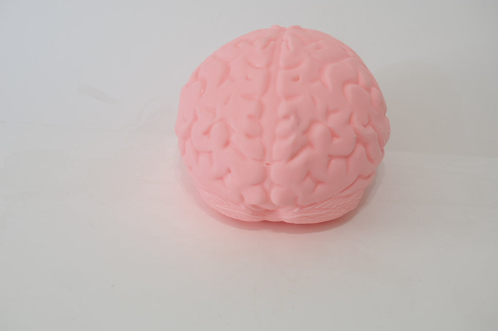 Large Brain Marshmallow Squishy