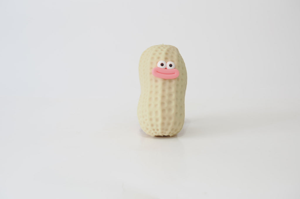 Crunchy Peanut Face Squishy