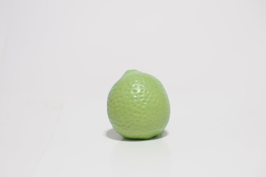 Crunchy Lemon Joy Squishy