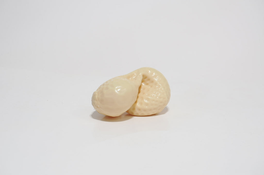 Peanut Oil Squishy