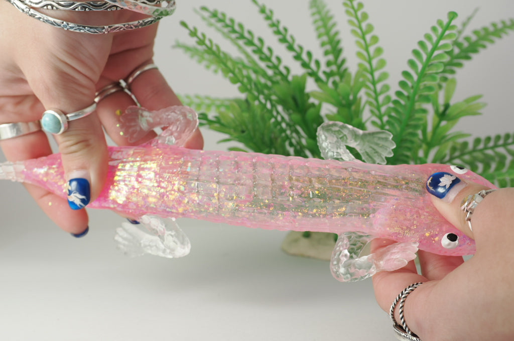 Alligator Sugar Squish