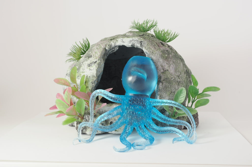 Octopus Sugar Squish