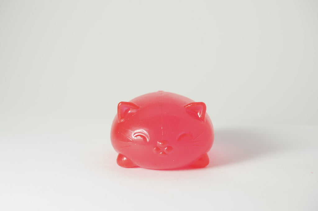 Cat Sugar Squish
