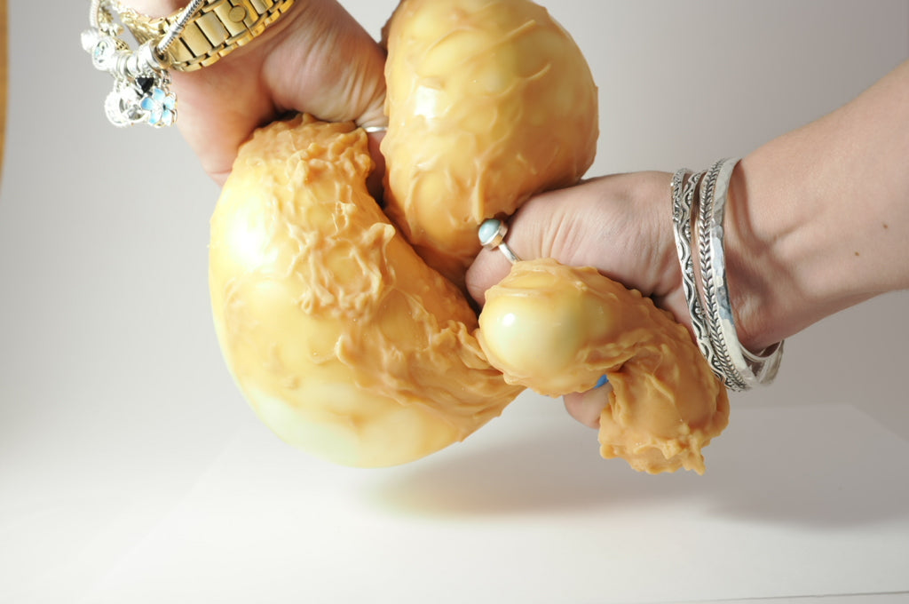 Fried Chicken Marshmallow Squish