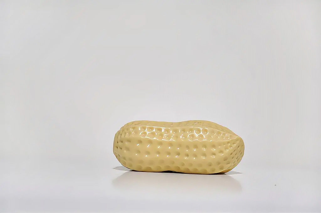 Peanut Crunchy Squishy