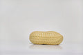 Peanut Crunchy Squishy