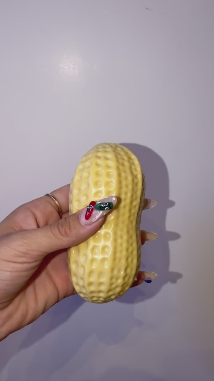 Peanut Crunchy Squishy